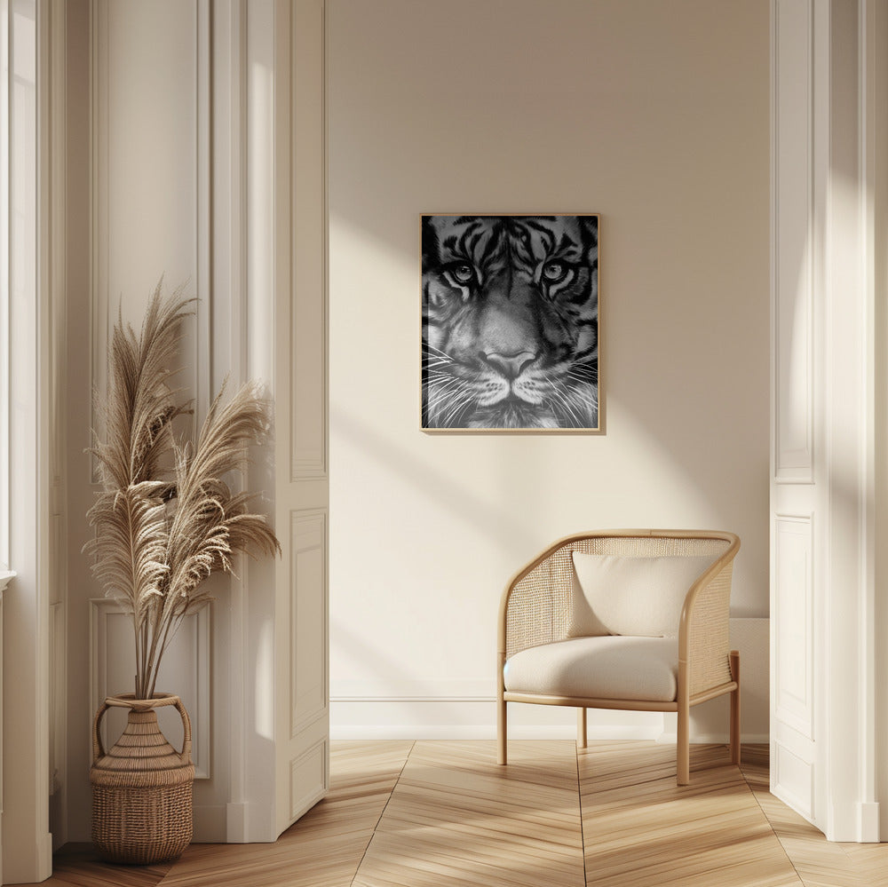 Fine Art Print, Tiger