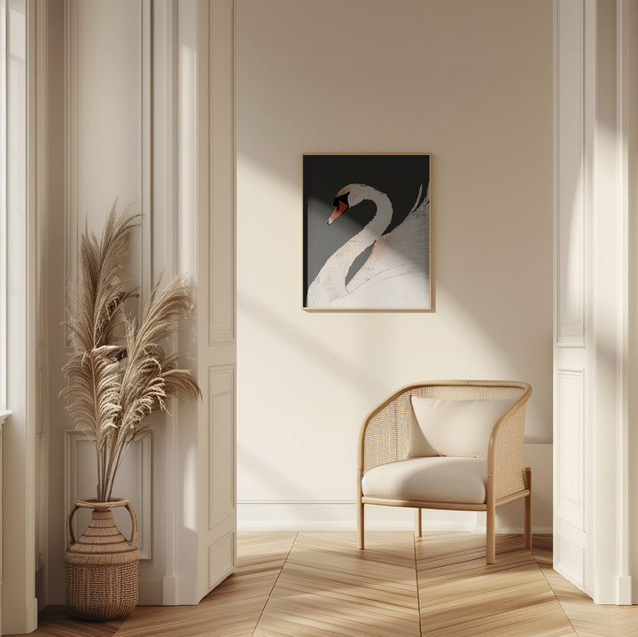 Fine Art Print, The Swan