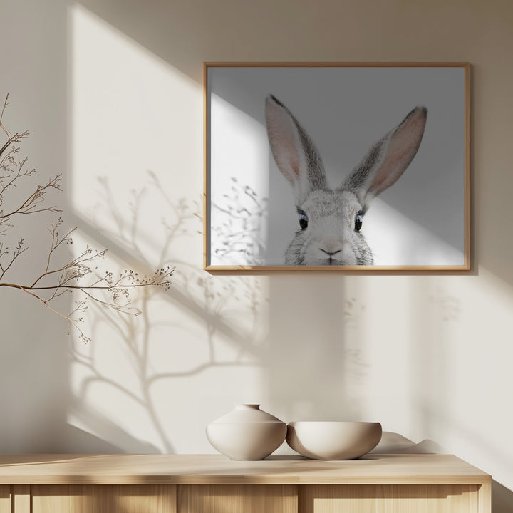 Fine Art Print, Peeking Bunny