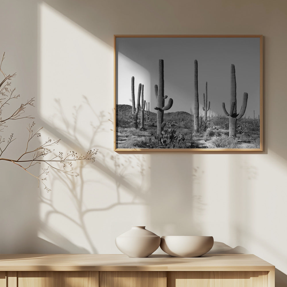 Fine Art Print, Grey Cactus Land