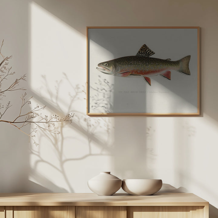 Fine Art Print, Male Brook Trout