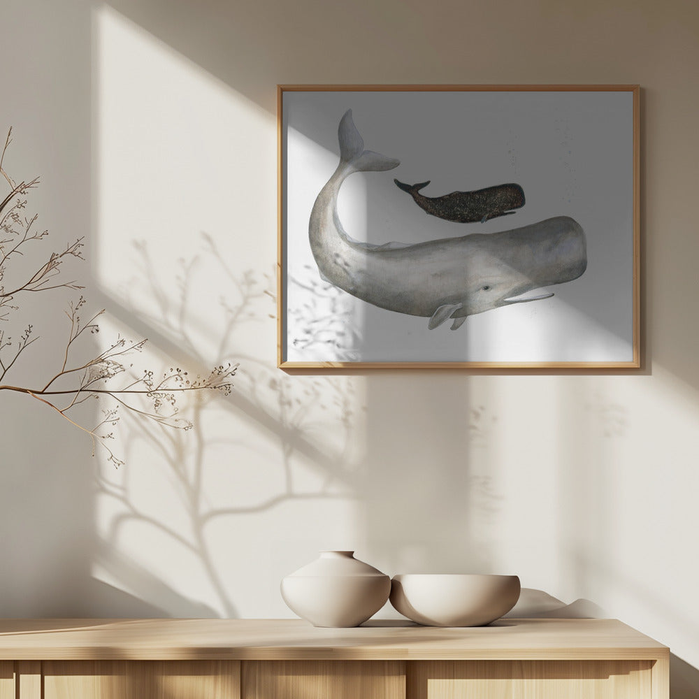 Fine Art Print, Mother and Baby Sperm Whale