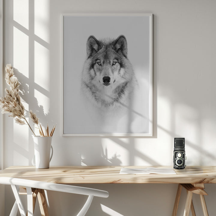 Fine Art Print, Portrait of a Timber Wolf