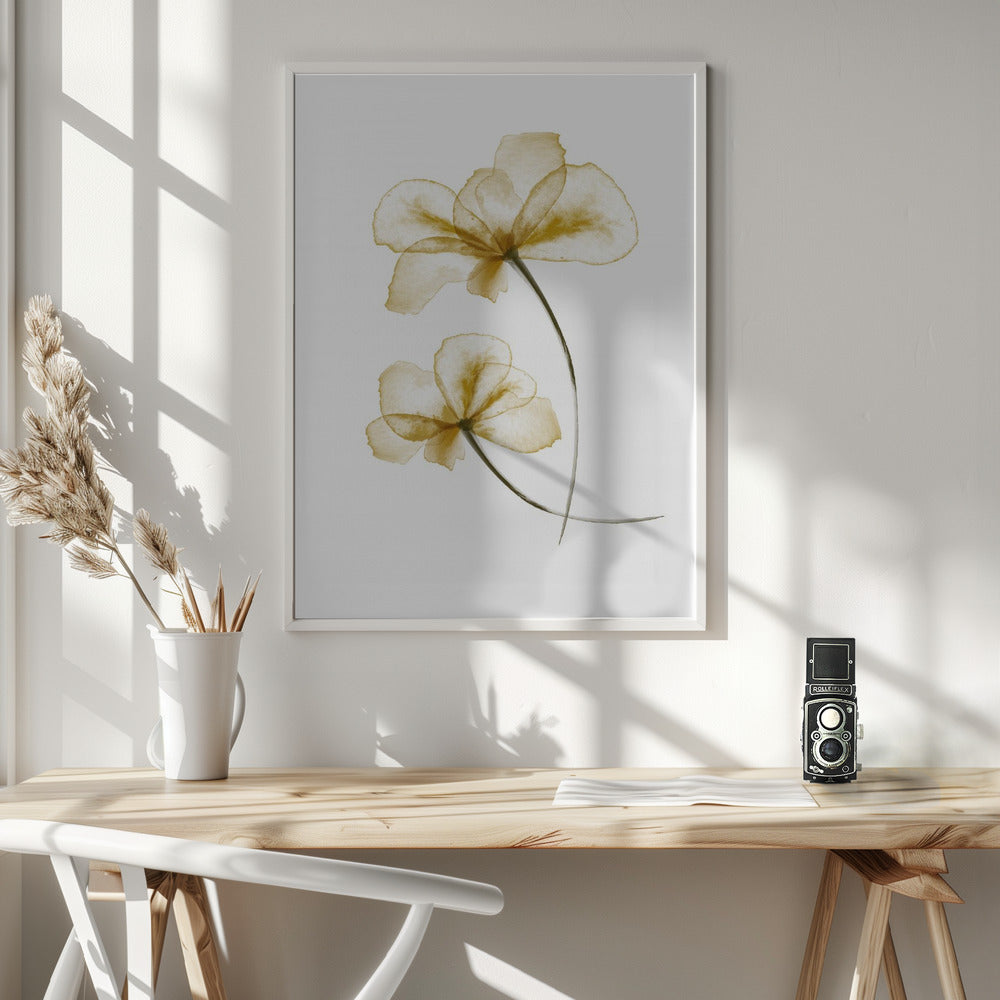 Fine Art Print, Pressed Flowers