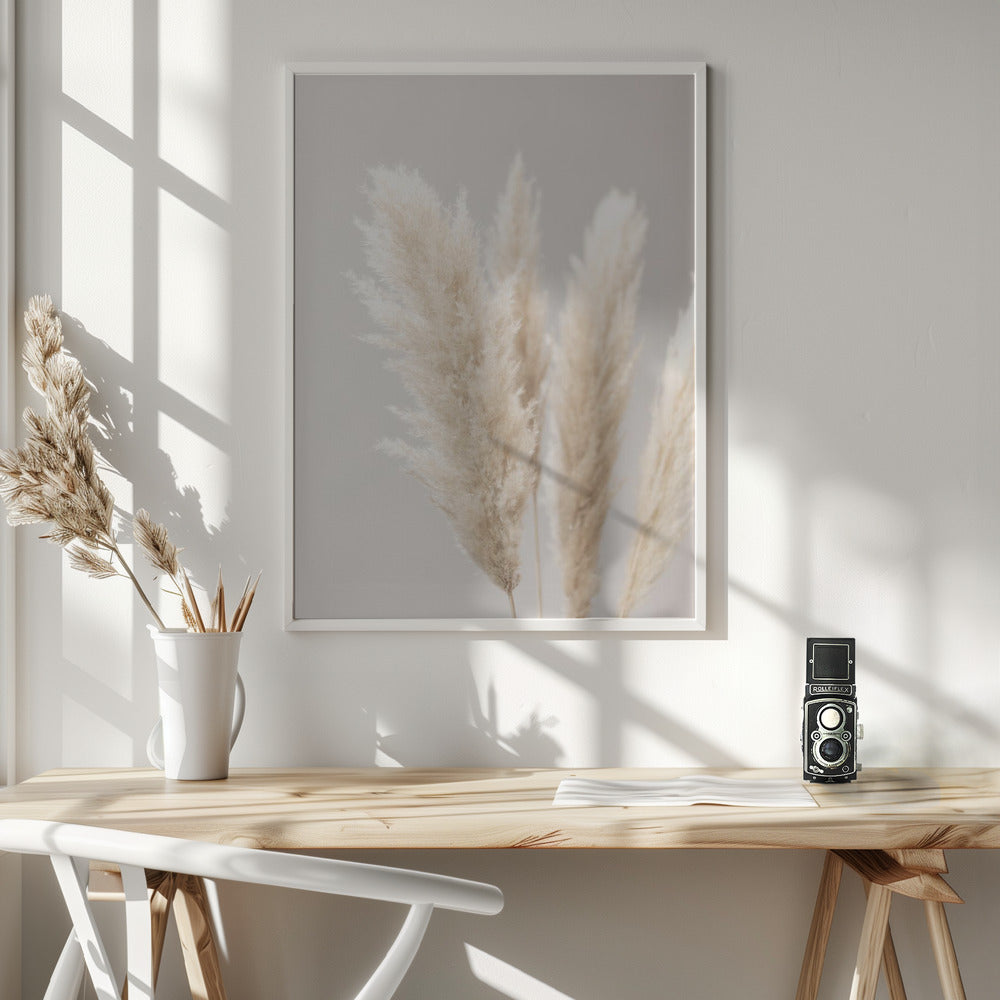 Fine Art Print, Pampas Grass Grey 02