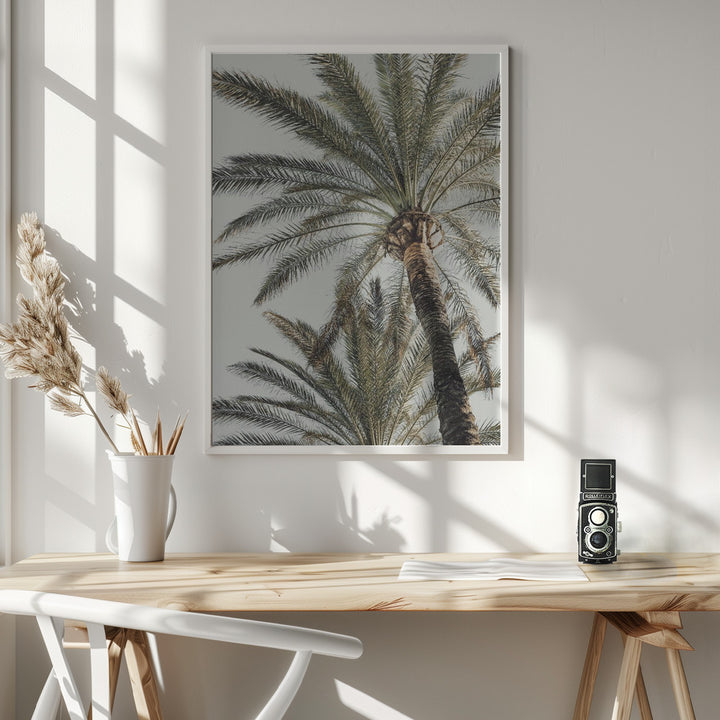 Fine Art Print, Palm_005