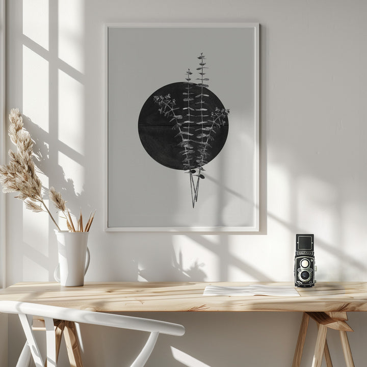 Fine Art Print, Plant and Black Sun