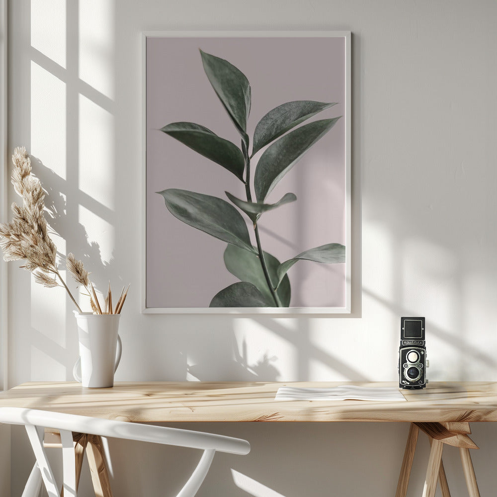 Fine Art Print, Foliage on Pink