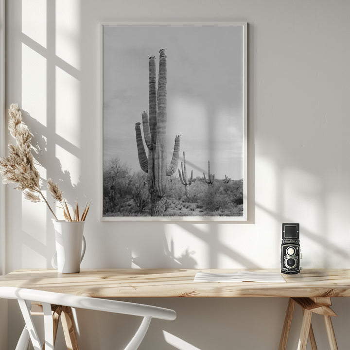 Fine Art Print, Saguaro B&amp;W