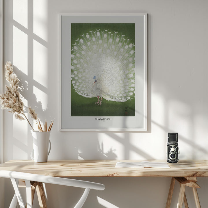 Fine Art Print, Peacock - Cropped