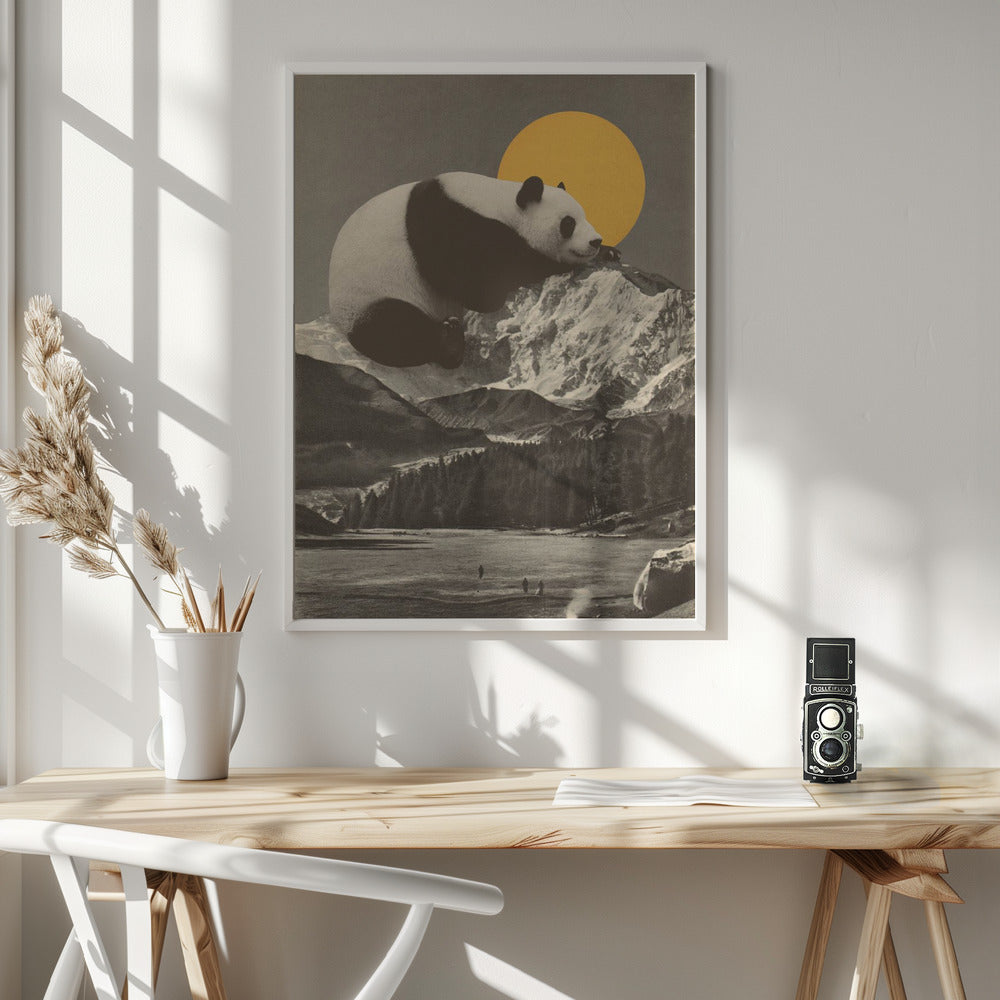 Fine Art Print, Giant Panda Nap