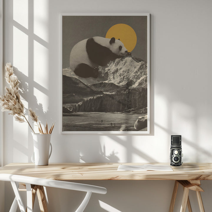 Fine Art Print, Giant Panda Nap