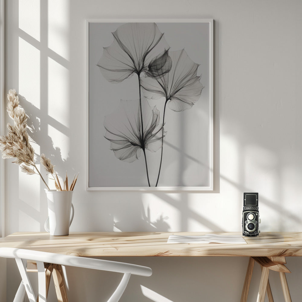 Fine Art Print, Transparent Botanic No 3