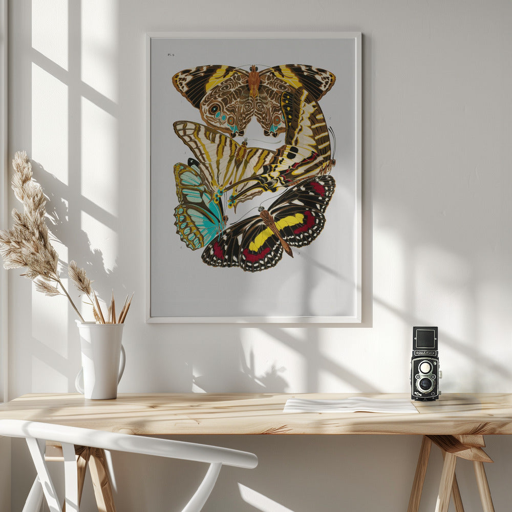 Fine Art Print, Butterflies 10