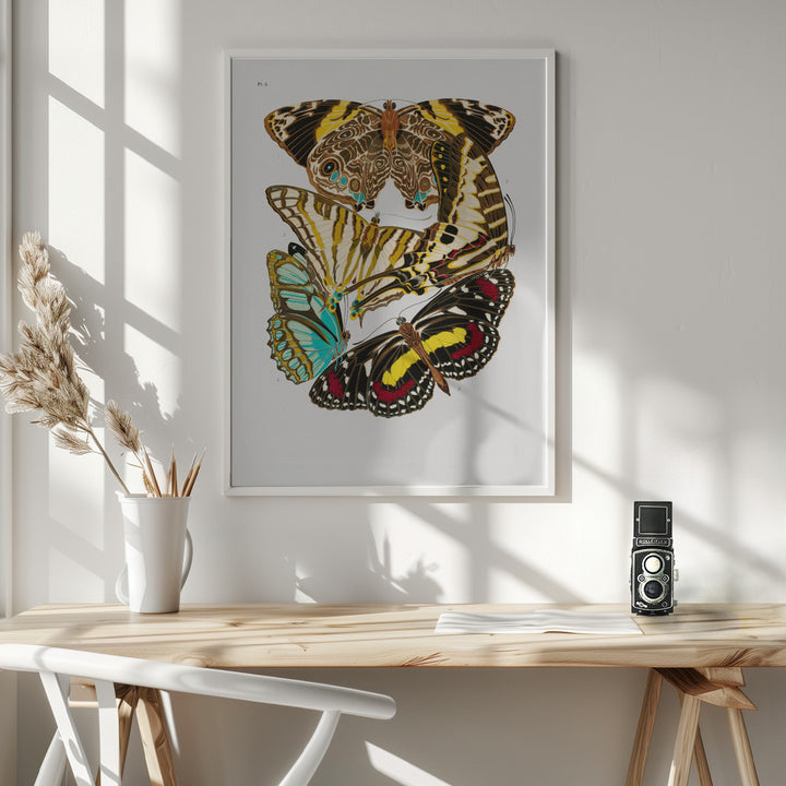 Fine Art Print, Butterflies 10