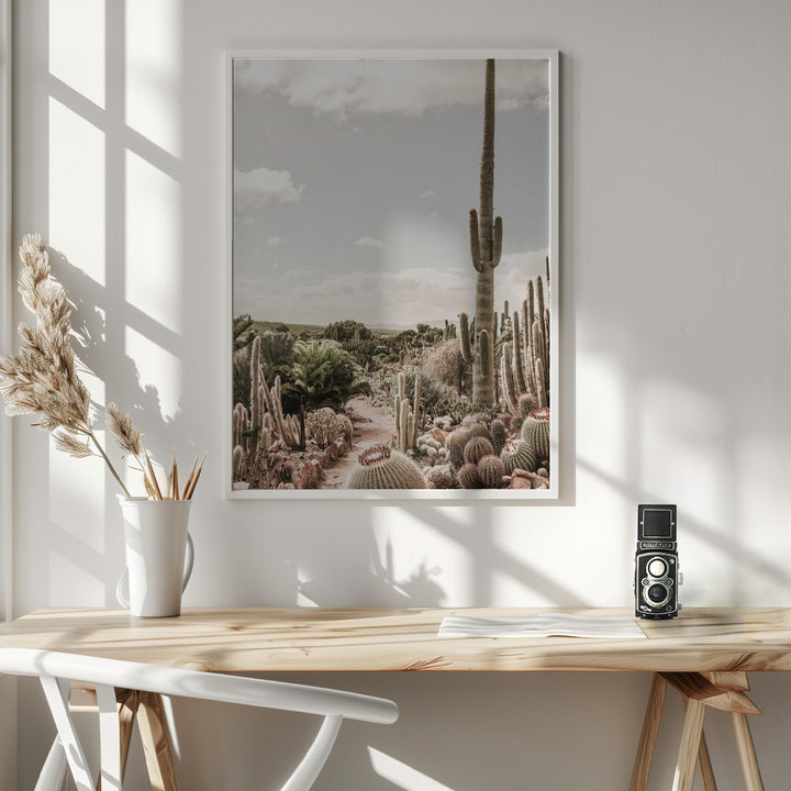 Fine Art Print, Cactus Farm