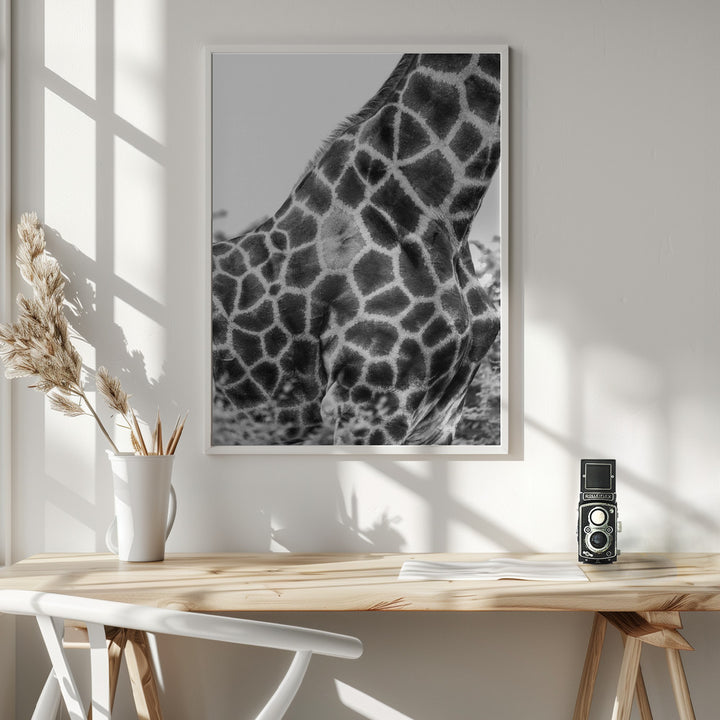 Fine Art Print, Super Safari No3