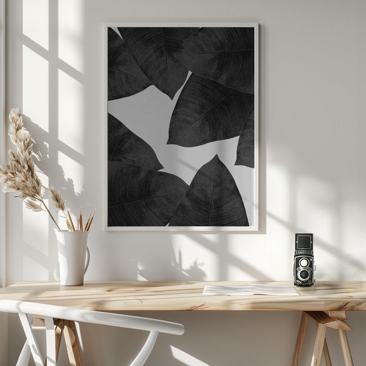Fine Art Print, Banana Leaf Black &amp; White II