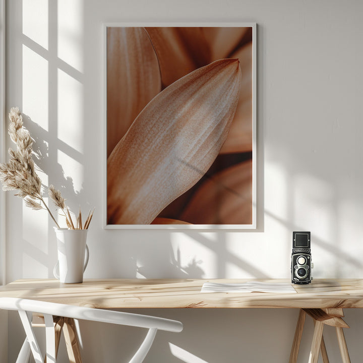 Fine Art Print, Leafdetail