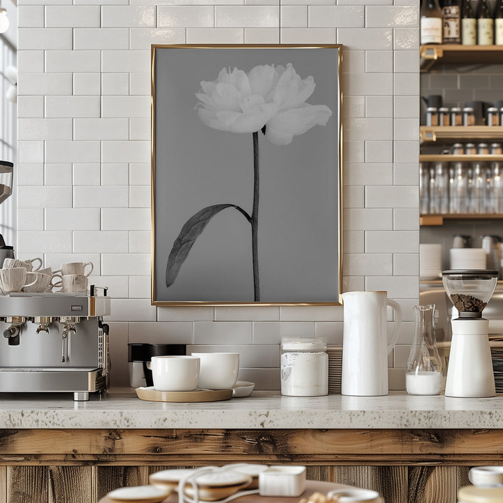 Fine Art Print, Peony 14