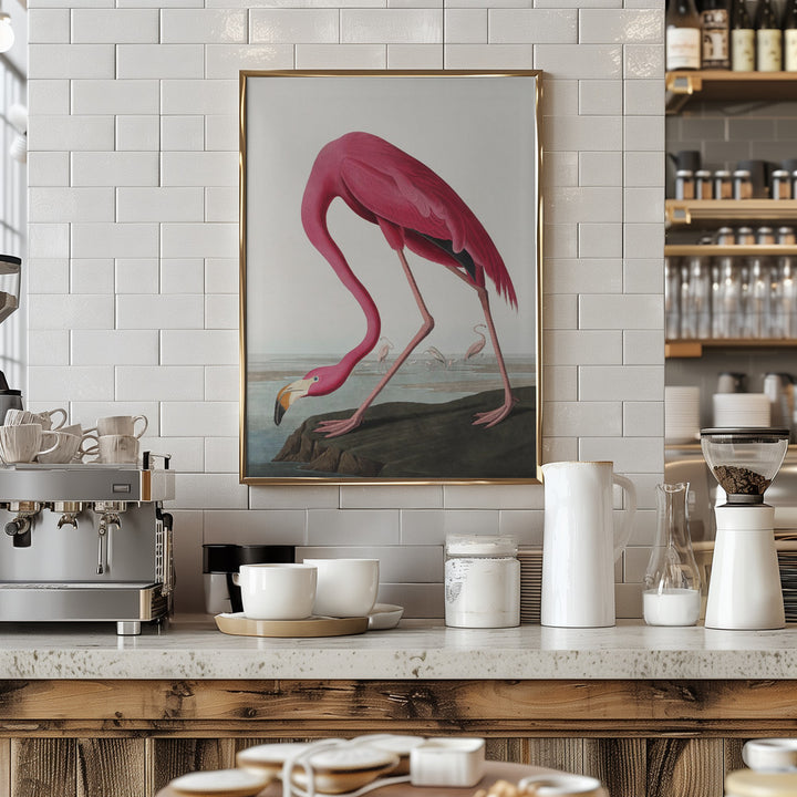 Fine Art Print, Pink Flamingo Ii From Birds of America (1827)