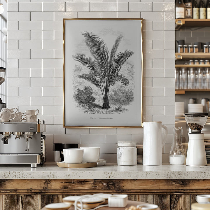 Fine Art Print, Vintage Palm Tree Drawing Vii