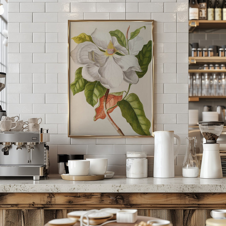 Fine Art Print, Magnolia