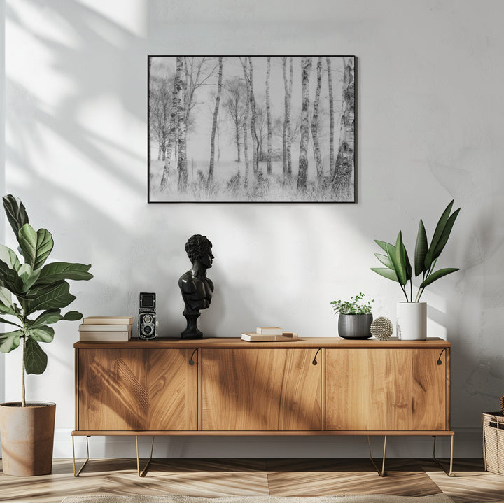 Fine Art Print, Black and white