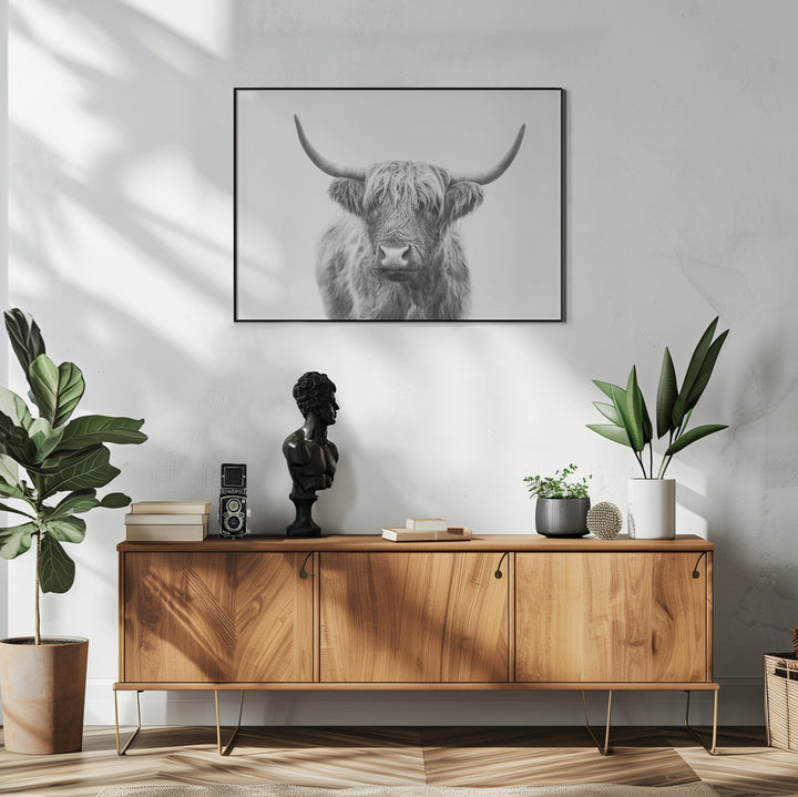 Fine Art Print, Highland Bull