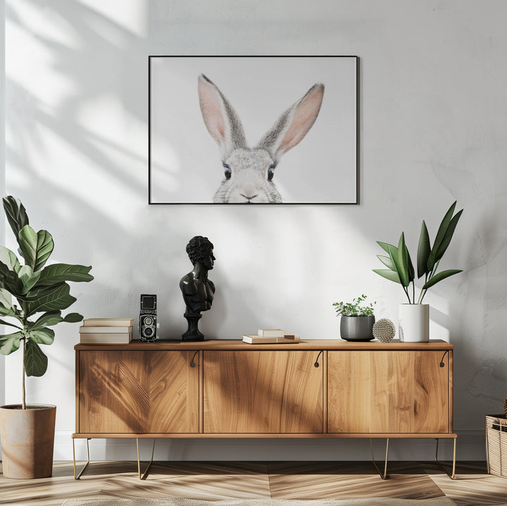 Fine Art Print, Peeking Bunny