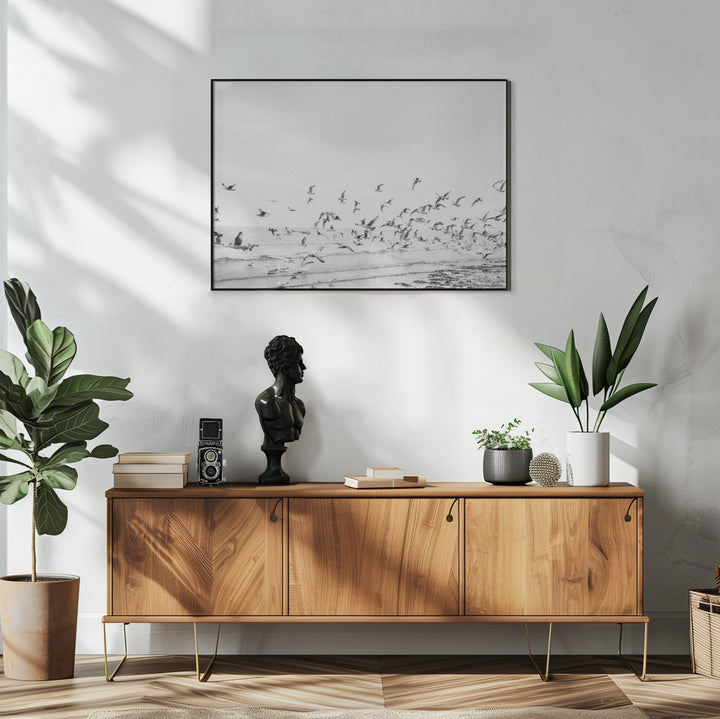 Fine Art Print, Seagulls - Coastal black and white