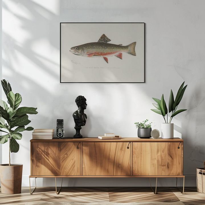 Fine Art Print, Male Brook Trout