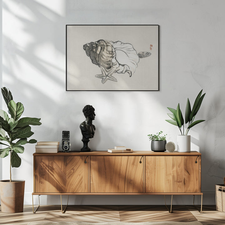 Fine Art Print, Star Fish and Conch