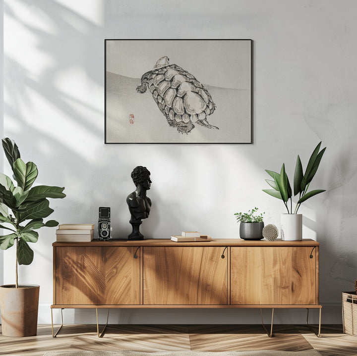Fine Art Print, Turtle