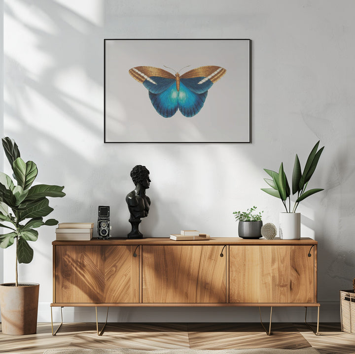 Fine Art Print, Idomeneus