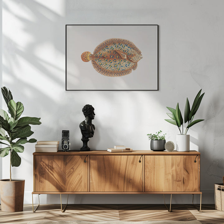 Fine Art Print, Argus Flounde