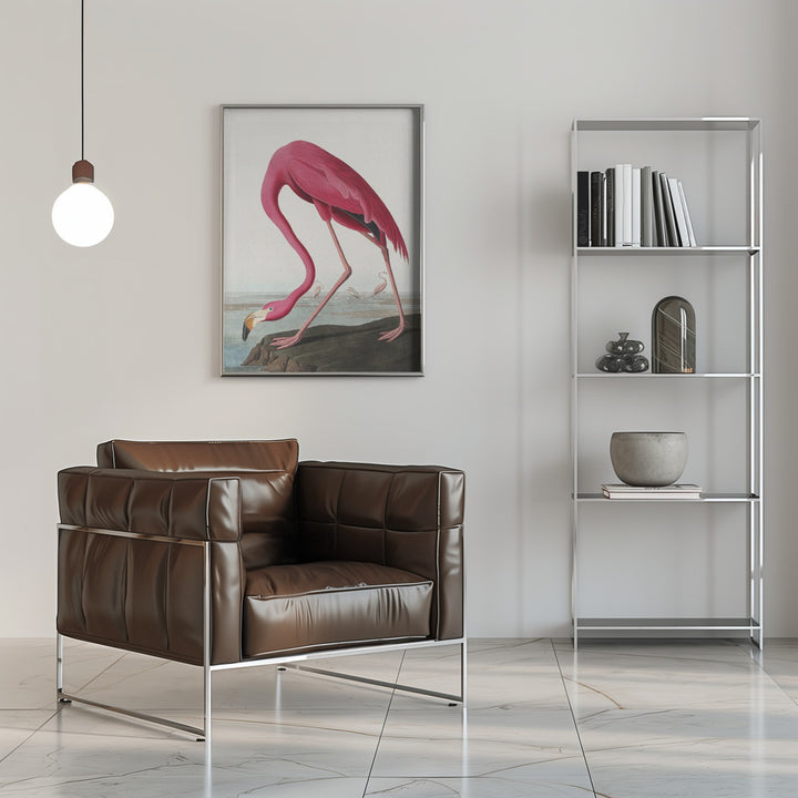 Fine Art Print, Pink Flamingo Ii From Birds of America (1827)