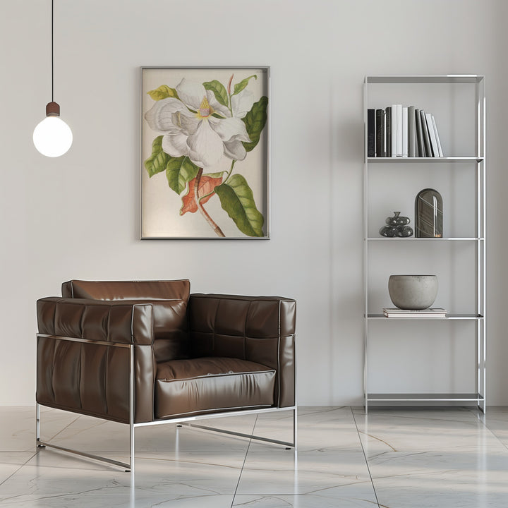 Fine Art Print, Magnolia