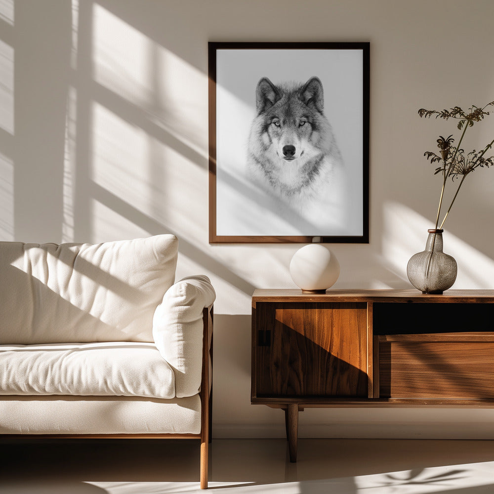 Fine Art Print, Portrait of a Timber Wolf