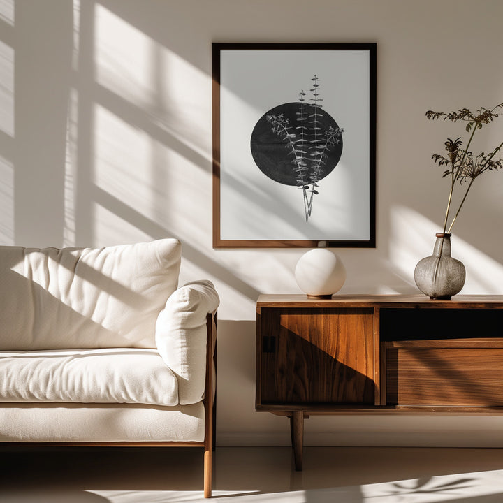 Fine Art Print, Plant and Black Sun