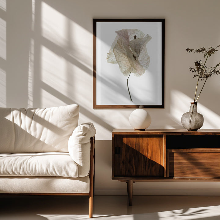 Fine Art Print, Bougainvillea Study No1