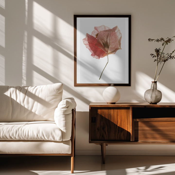 Fine Art Print, Bougainvillea Study No2