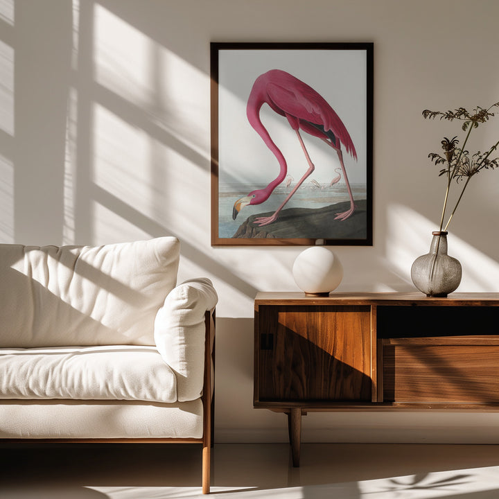 Fine Art Print, Pink Flamingo Ii From Birds of America (1827)