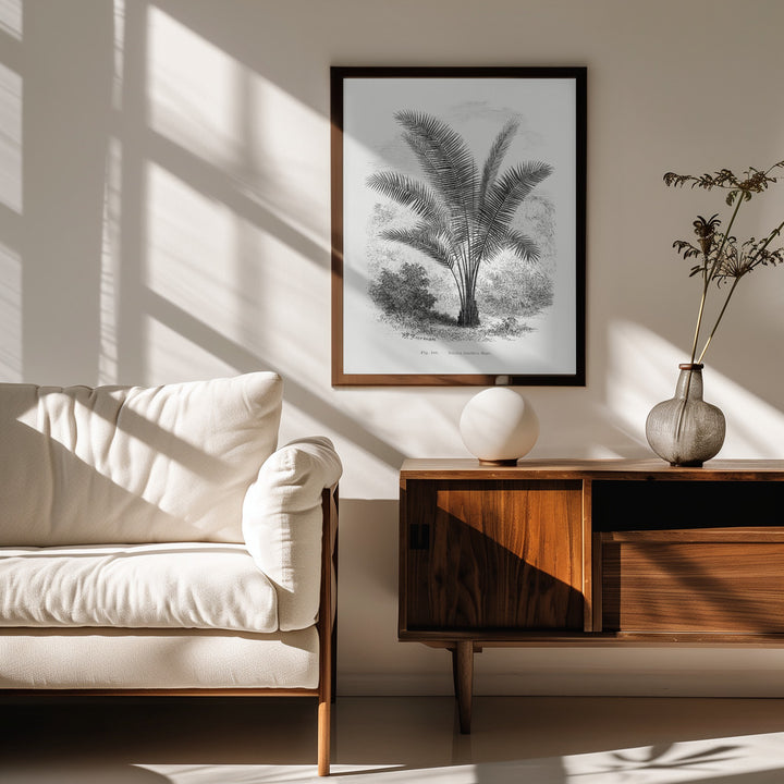 Fine Art Print, Vintage Palm Tree Drawing Vii