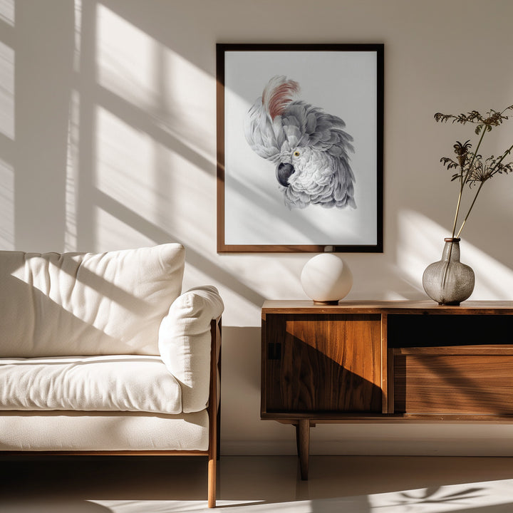 Fine Art Print, Cockatoo Head