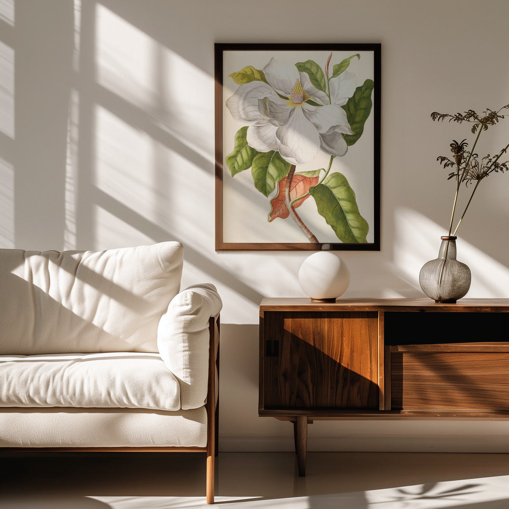 Fine Art Print, Magnolia