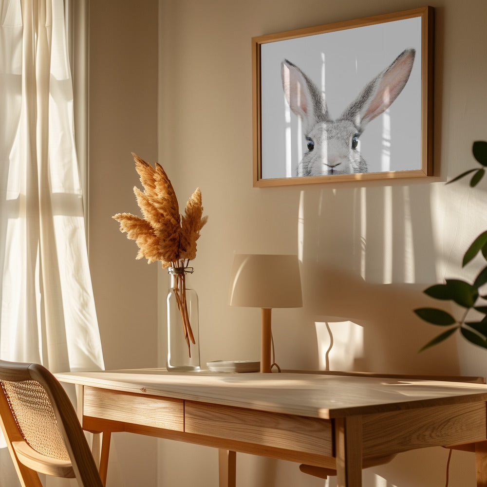 Fine Art Print, Peeking Bunny