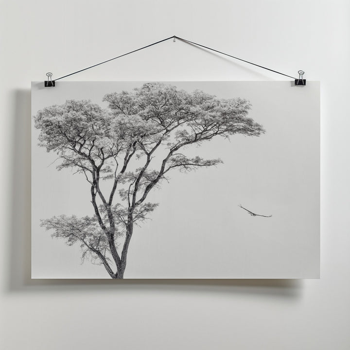 Fine Art Print, the African eagle