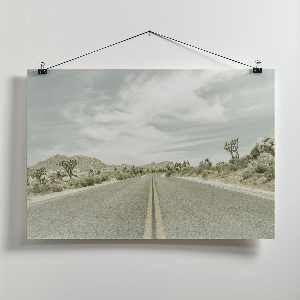 Fine Art Print, Vintage Joshua Trees, Park Boulevard