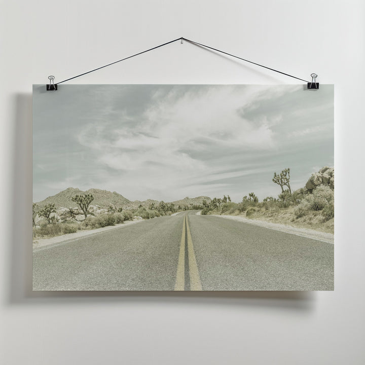 Fine Art Print, Vintage Joshua Trees, Park Boulevard